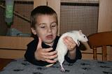 RAT 004